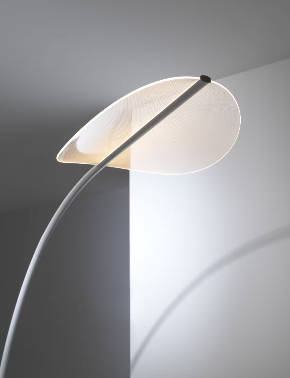 Diphy Floor Lamp