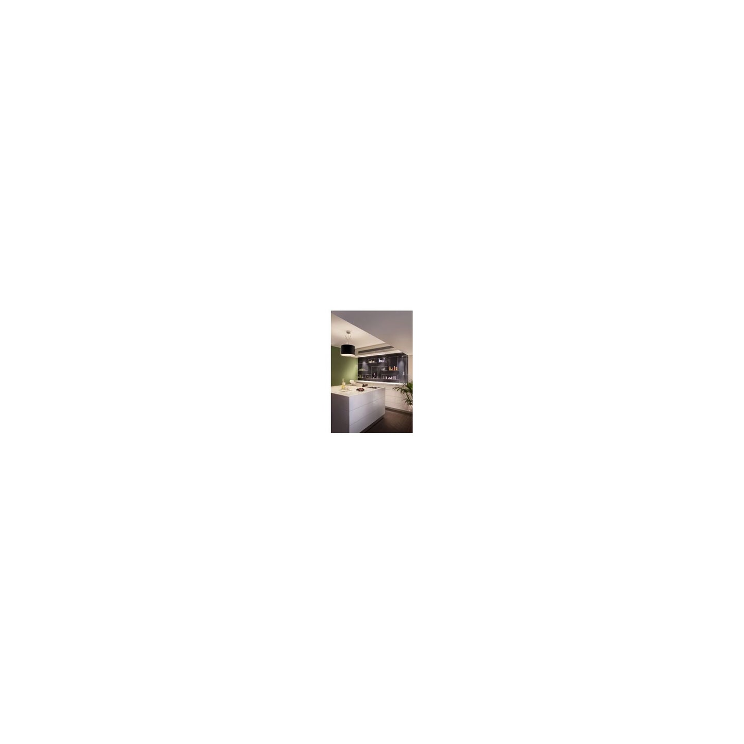 Ray S Plated Metal Pendant with Aluminium Diffuser