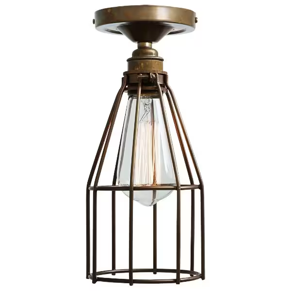 Raze Industrial Cage Ceiling Light