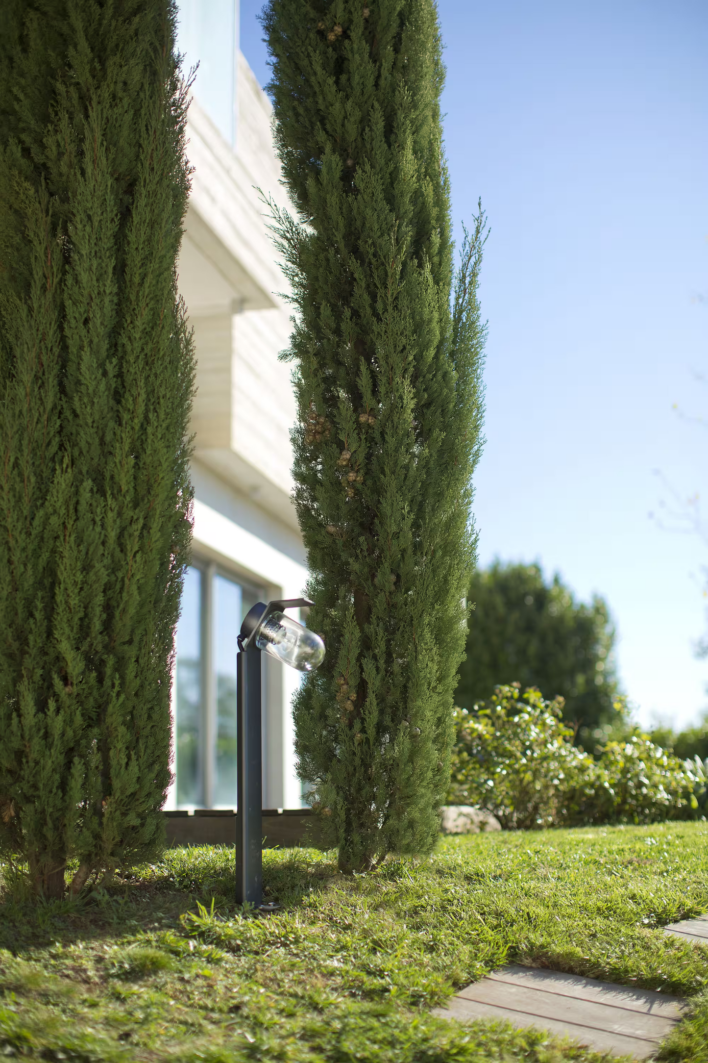 Sherlock Clear Glass Bollard