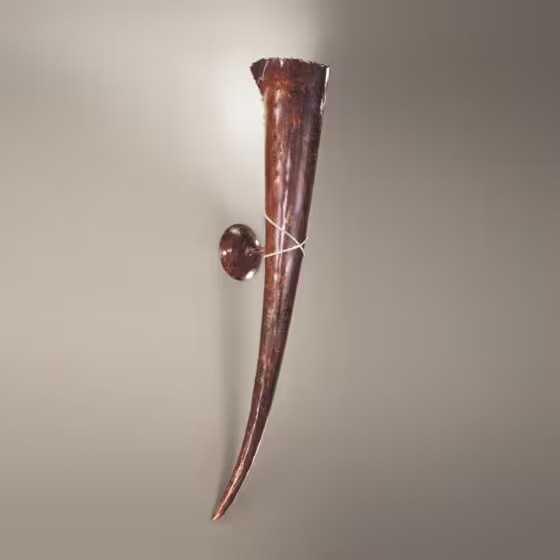 Corno Large Wall Light