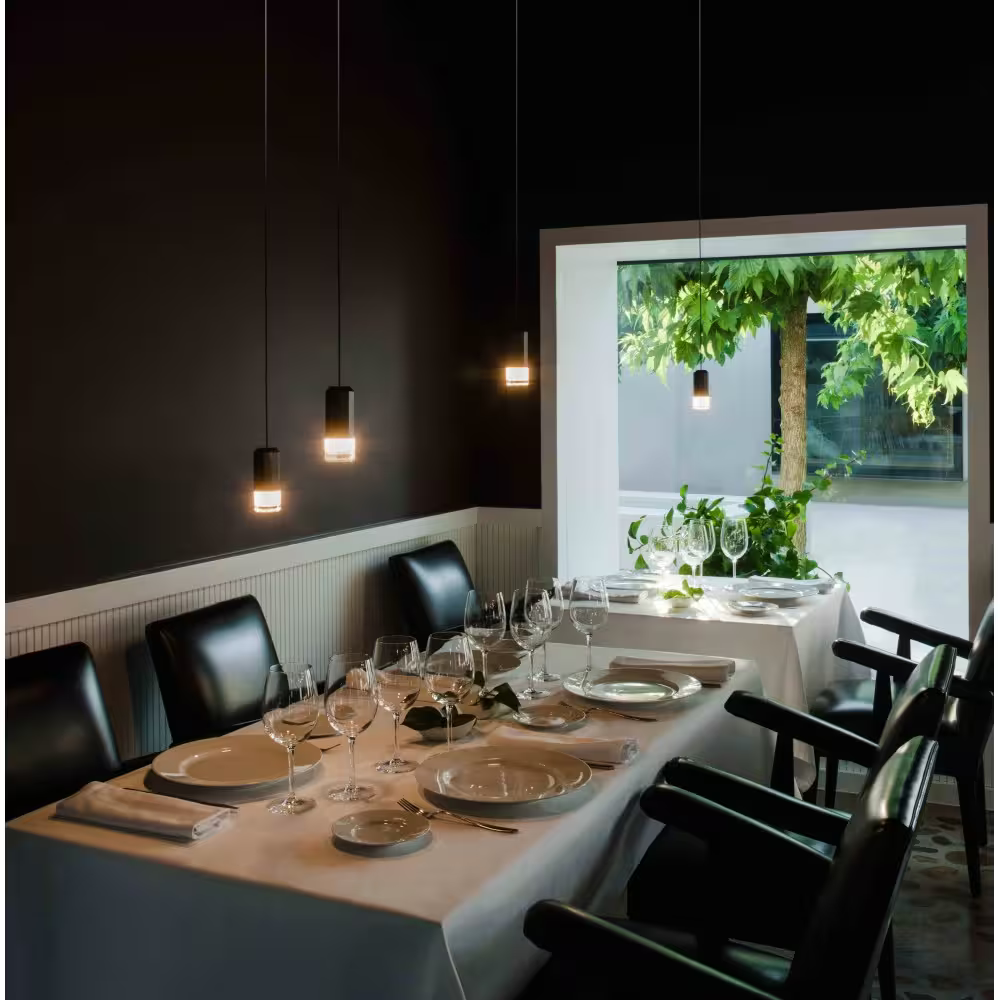 Wireflow FreeFrom Two-Light Pendant without Glass