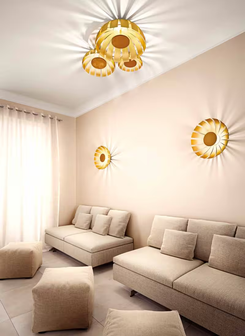Loto AP-PL 3 LED Wall or Ceiling Light