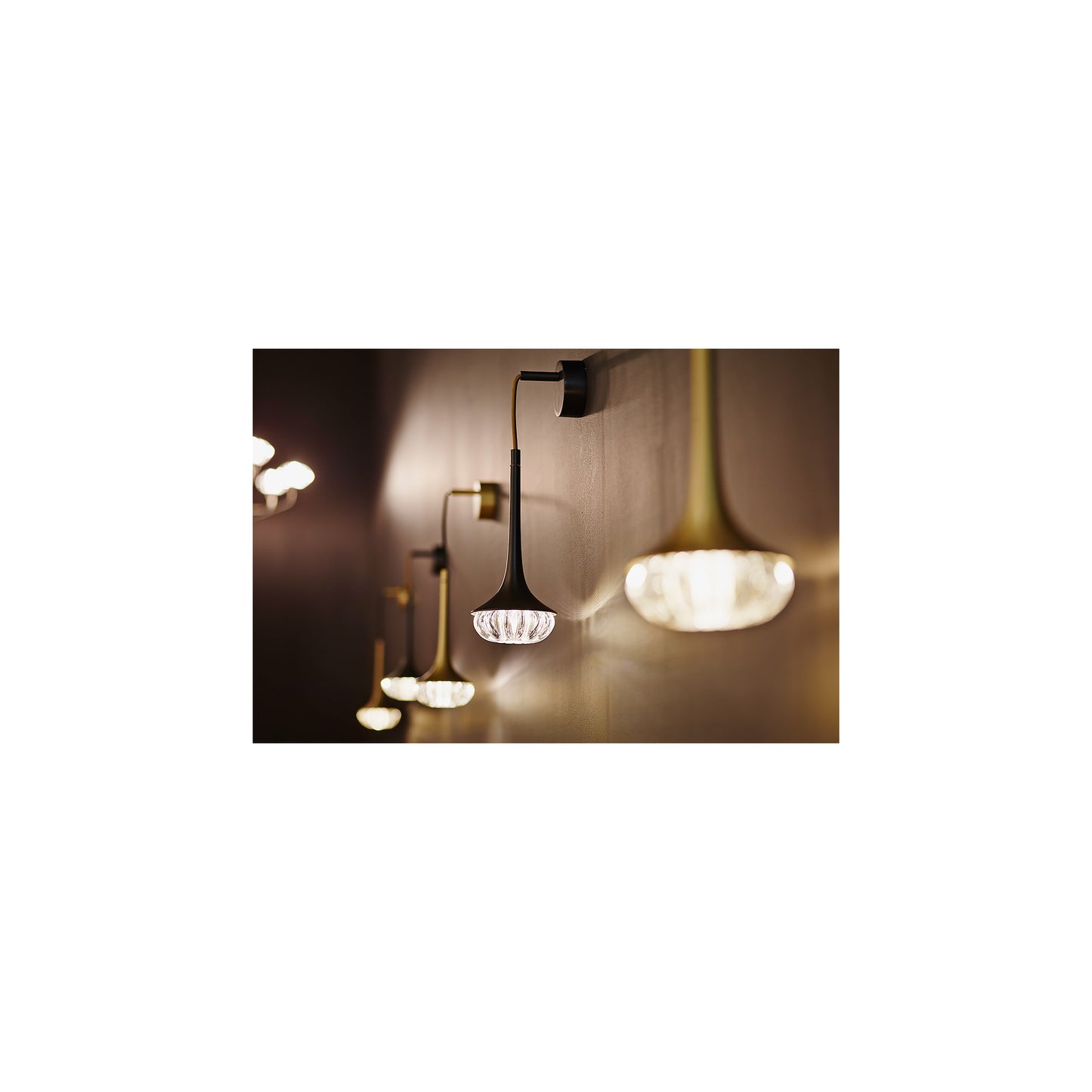 Flea Adjustable LED Wall Light