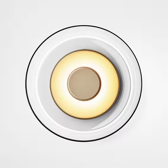 Blossi LED Ceiling or Wall Light