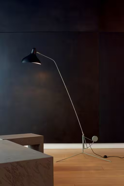 Mantis BS1 Adjustable Floor Lamp