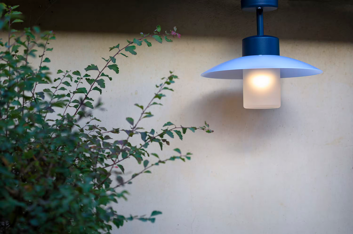 Aubanne Model 2 Frosted Glass Ceiling Light