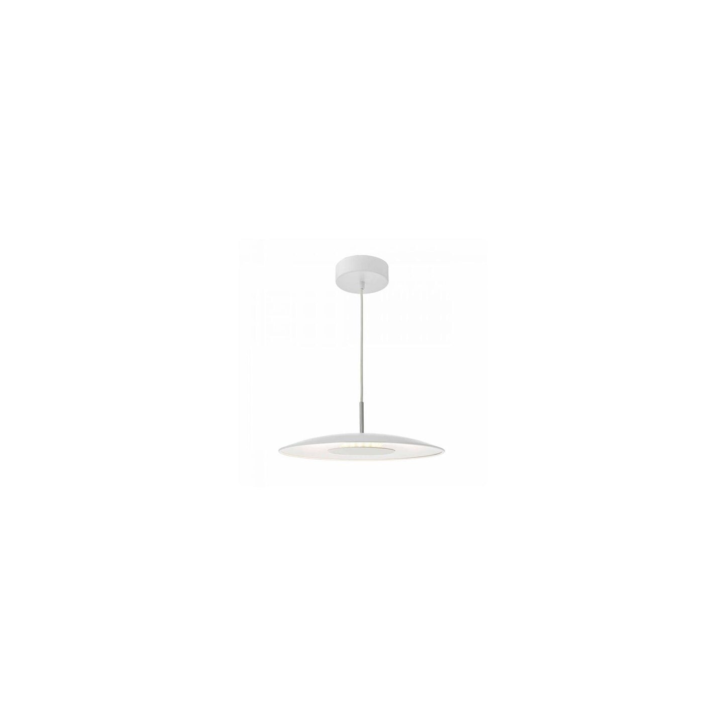 Enoch Single LED Pendant with Stainless Steel Detailing