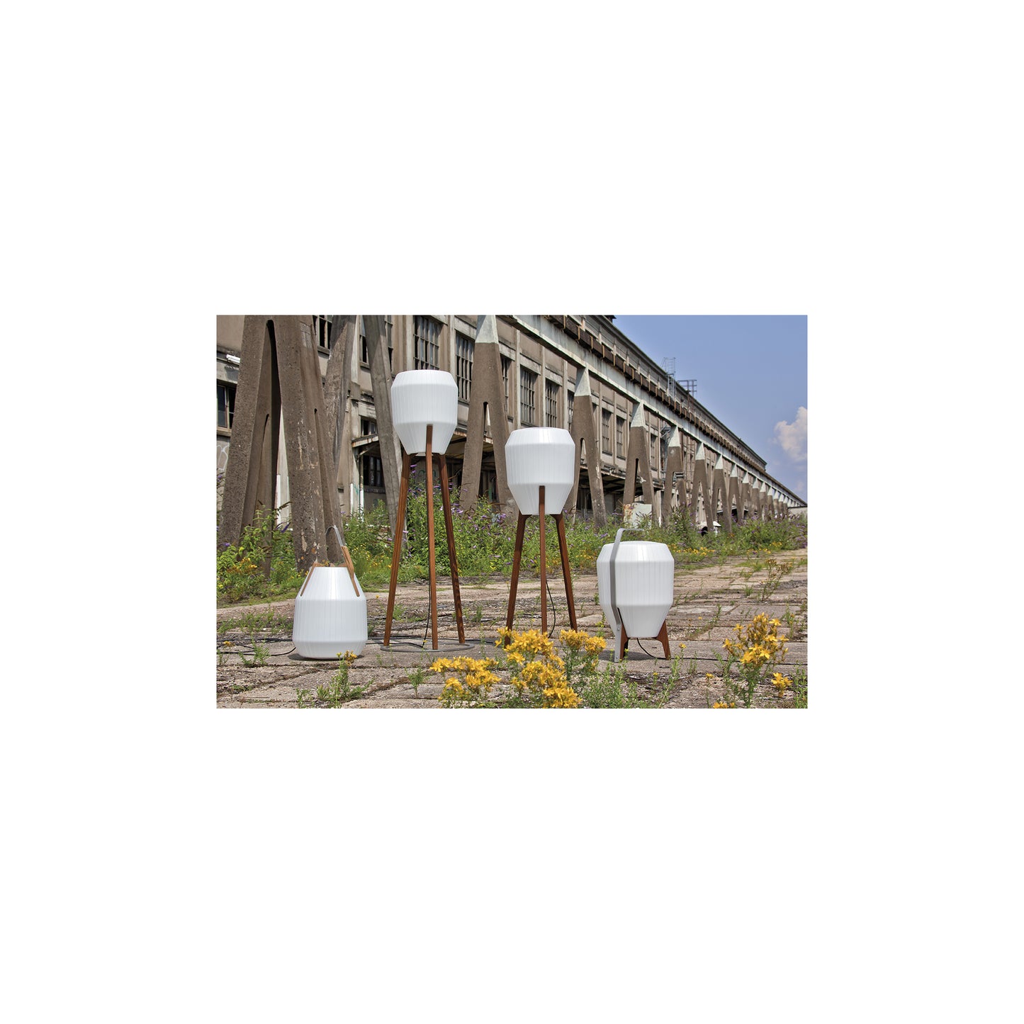 Tank Opal Glass Portable Light with Ratified Wood Base