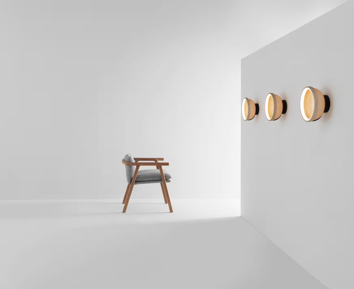 Mesh Ceiling/Wall Light