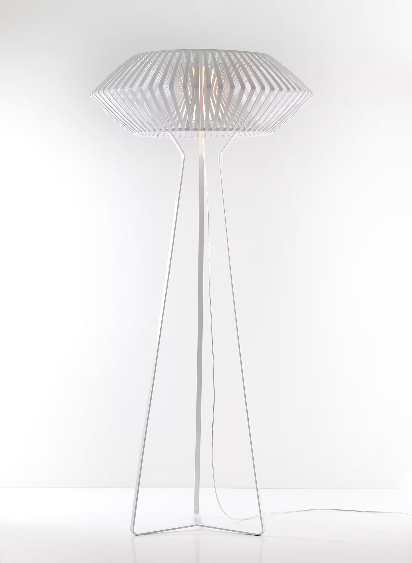 V Floor Lamp