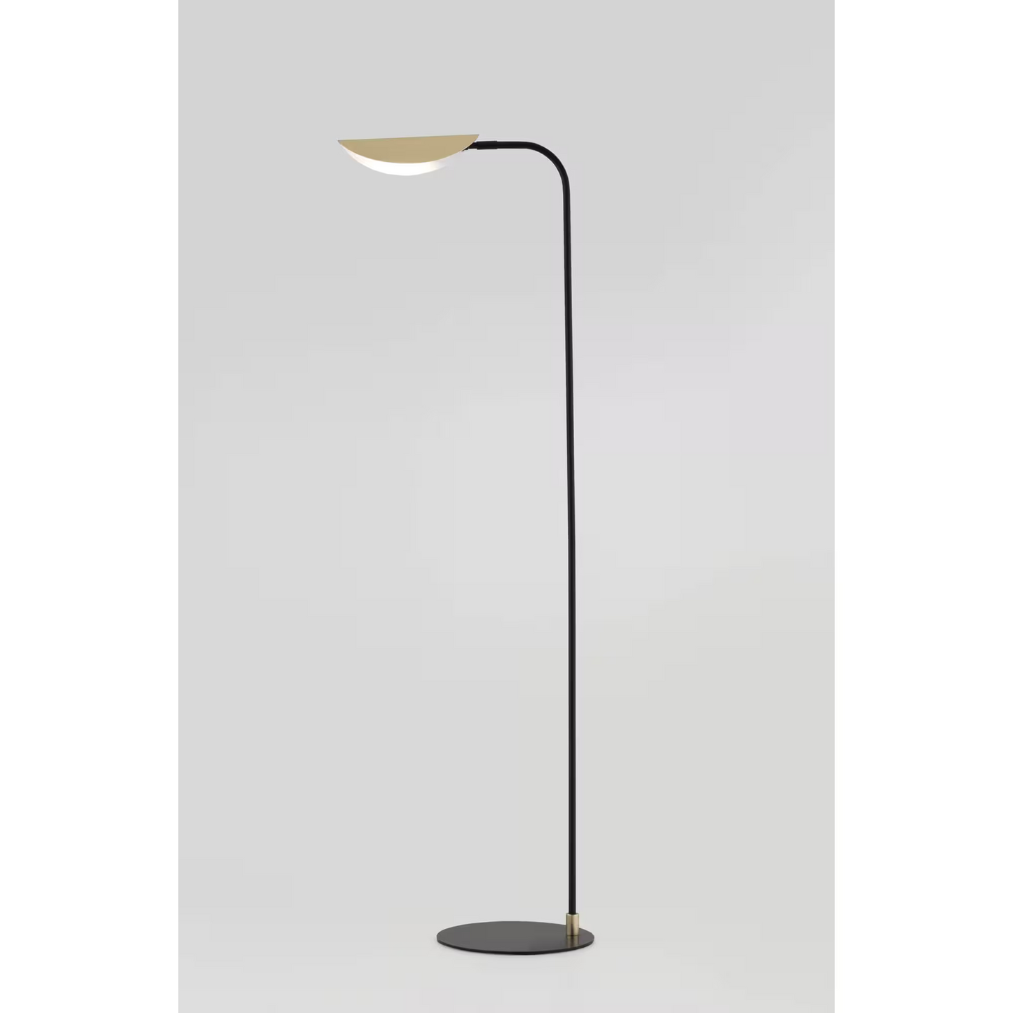 Ficus Floor Lamp