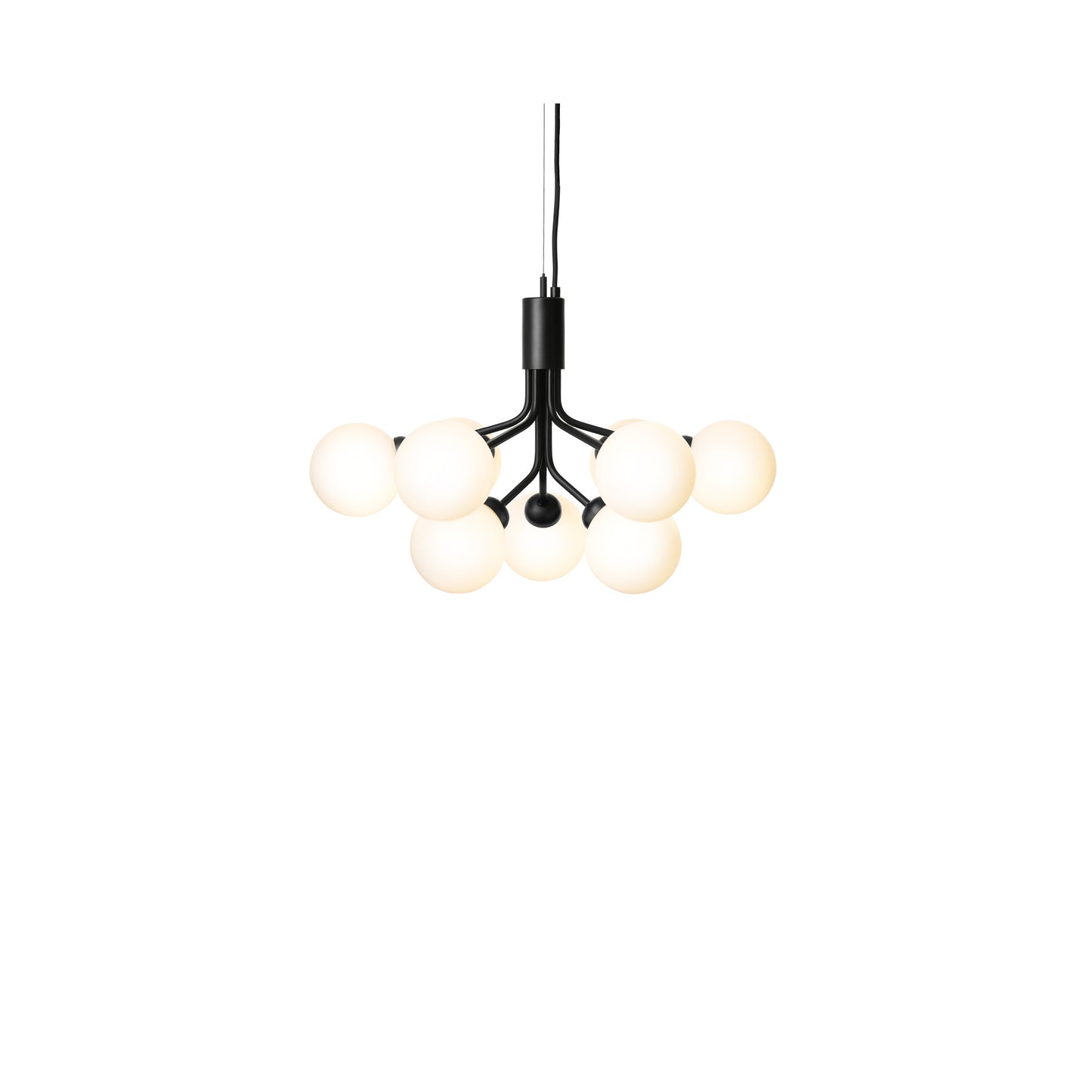Apiales 9-Light Chandelier with Glass Shade