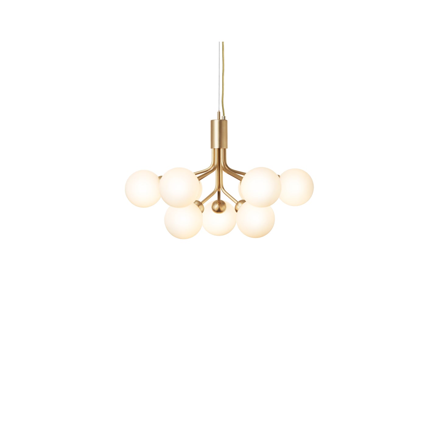 Apiales 9-Light Chandelier with Glass Shade