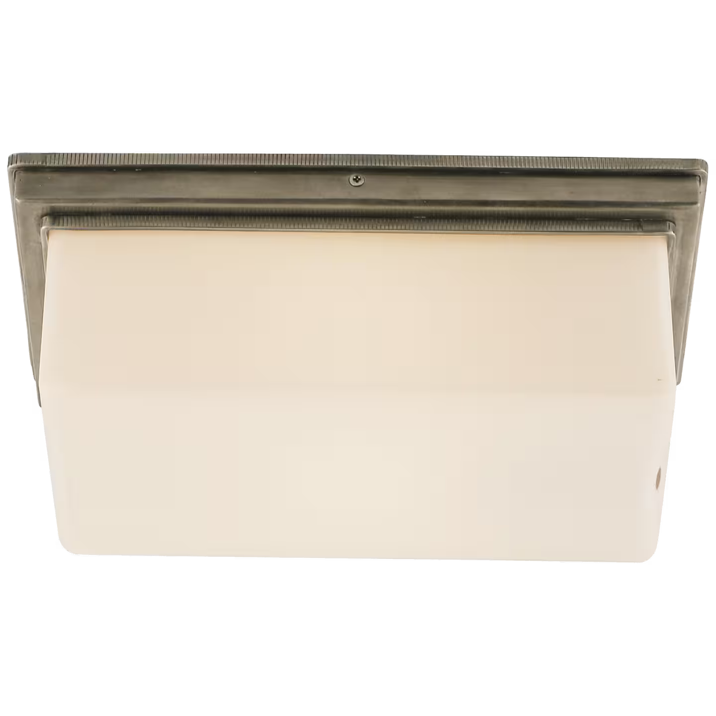 Newhouse Block Wall/Ceiling Light