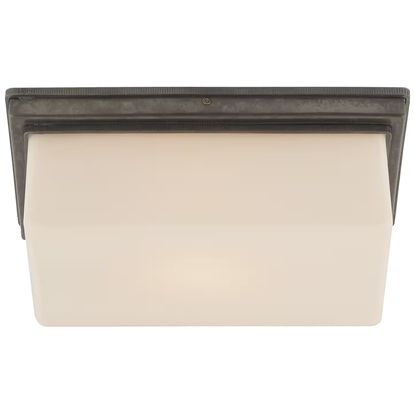 Newhouse Block Wall/Ceiling Light