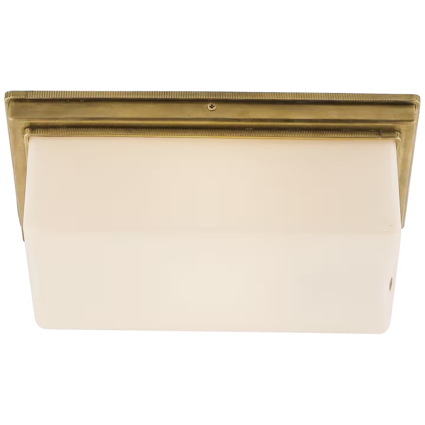 Newhouse Block Wall/Ceiling Light