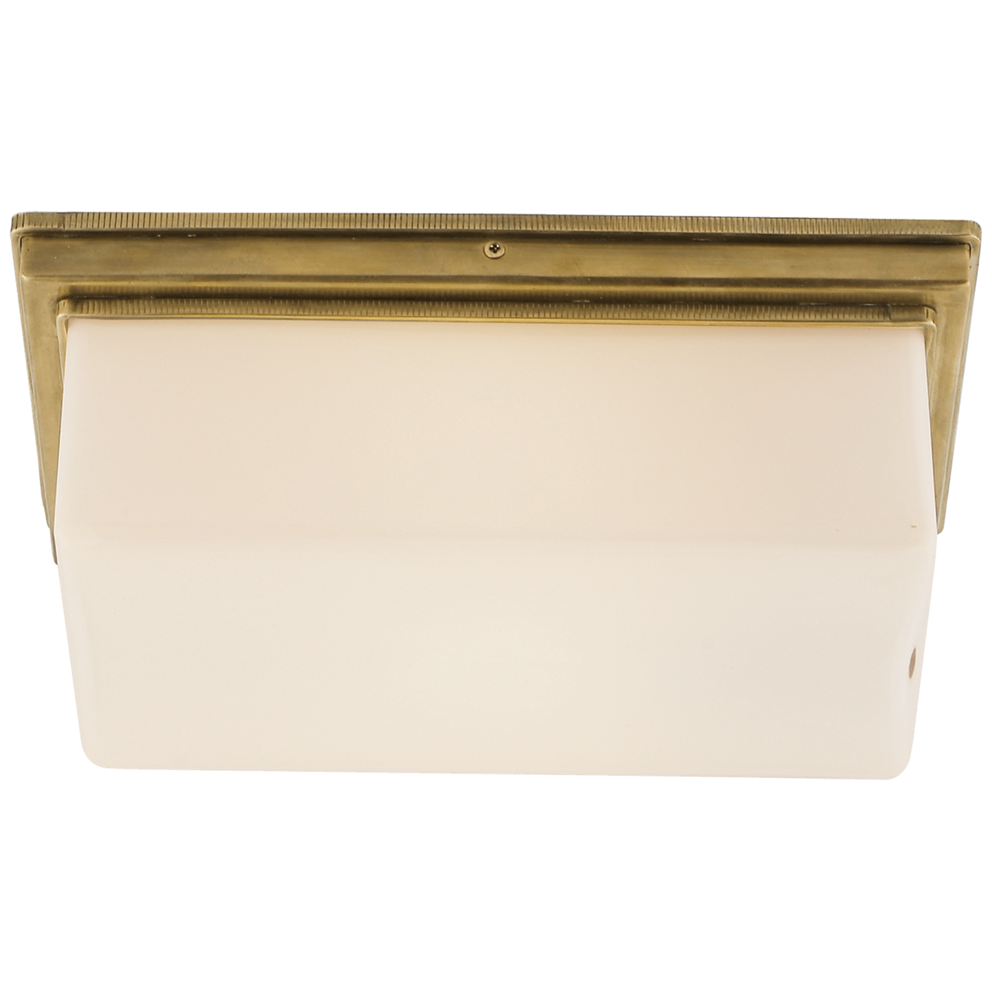 Newhouse Block Wall/Ceiling Light