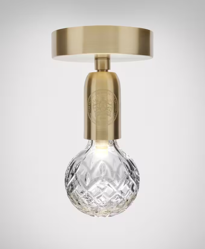 Crystal Bulb LED Ceiling Light