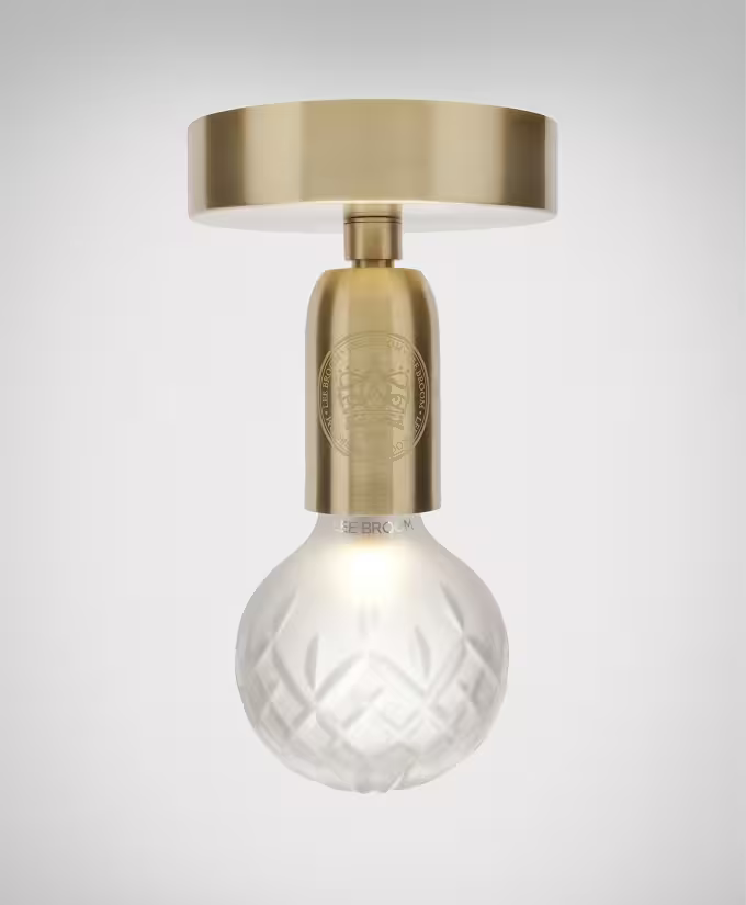 Crystal Bulb LED Ceiling Light