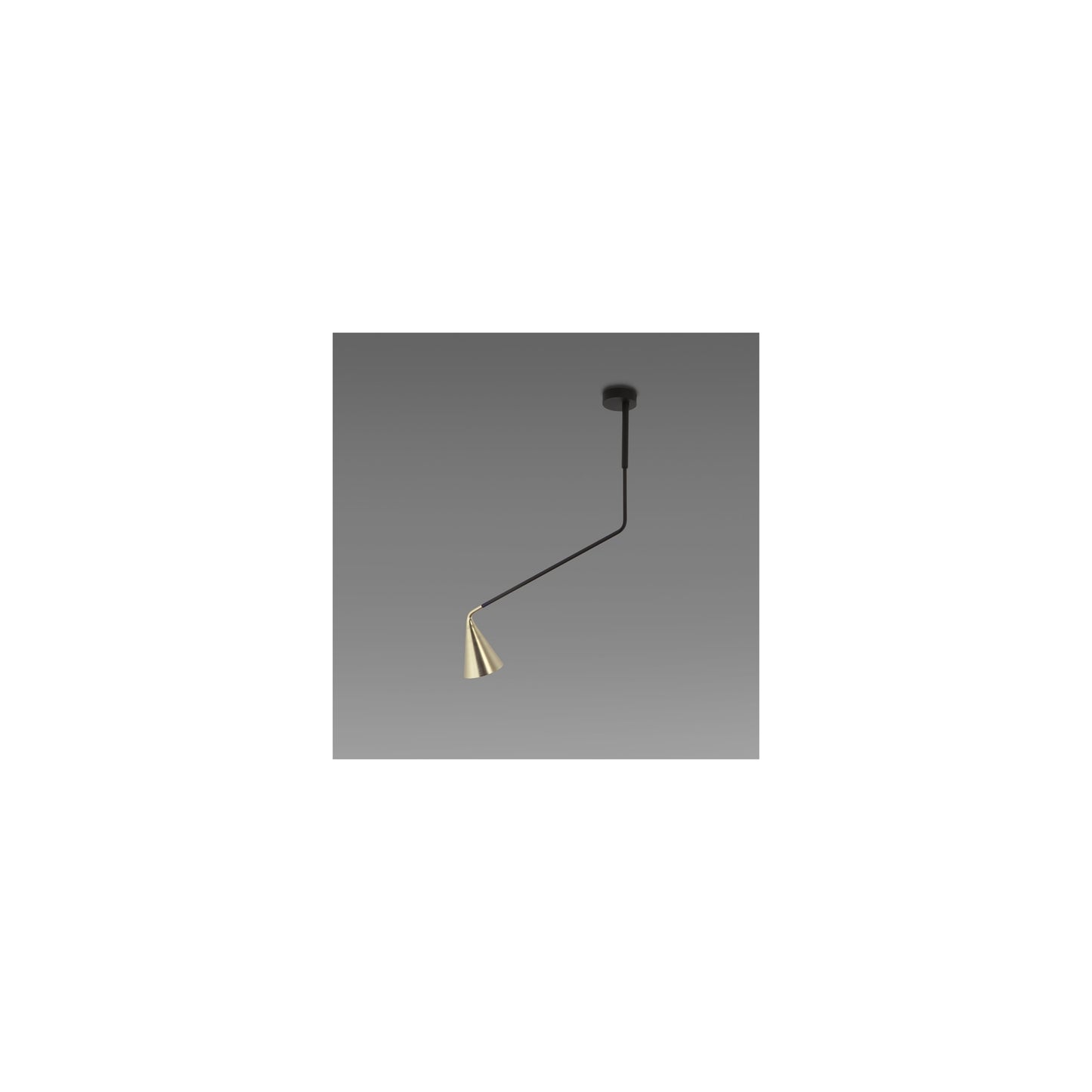 Gordon 11B Ceiling Light with Adjustable Arm