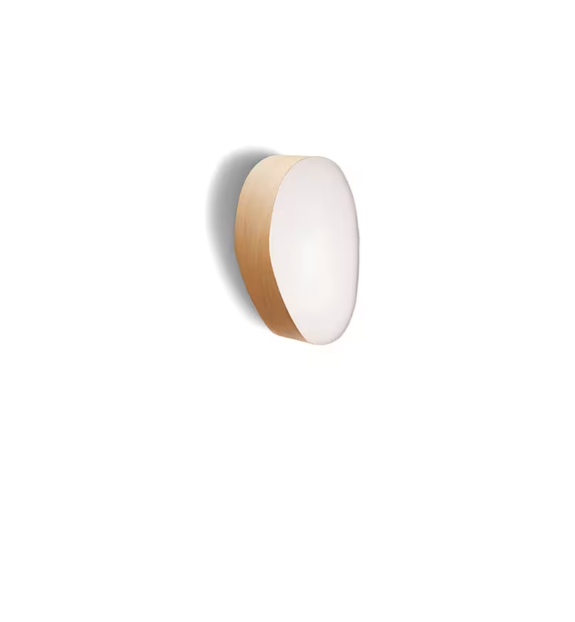Guijarro Small Wall & Ceiling Light