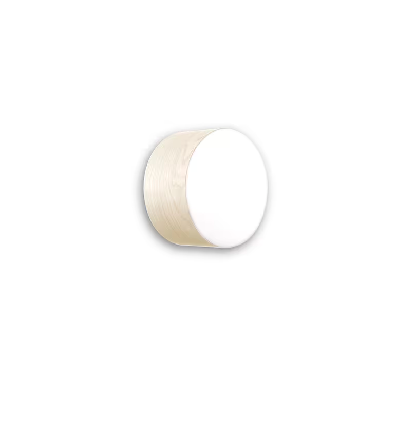Gea Small Wall & Ceiling Light