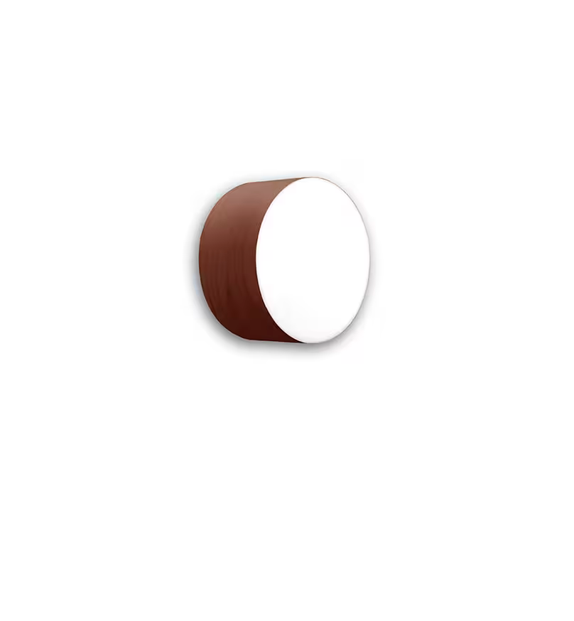 Gea Small Wall & Ceiling Light