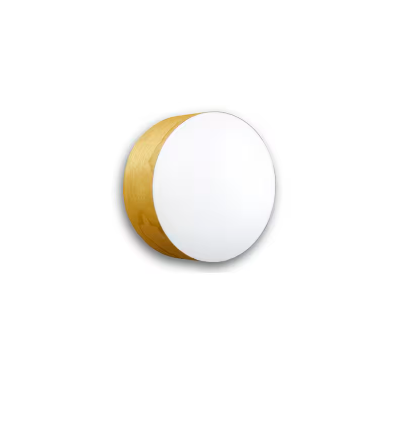 Gea Medium Wall & Ceiling Light