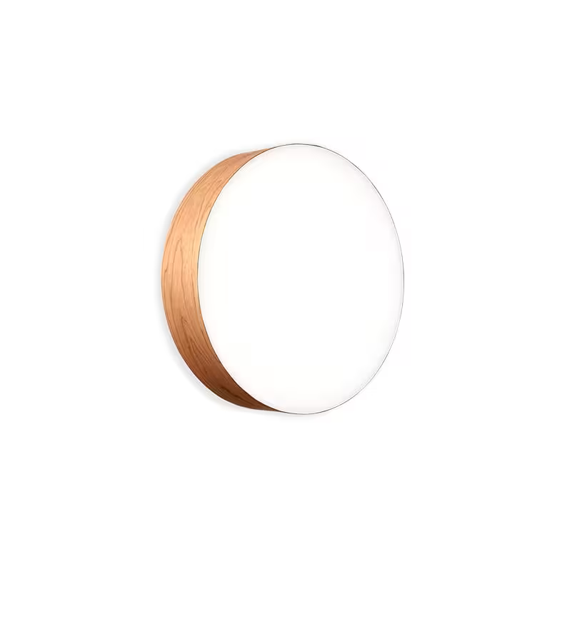 Gea Large Wall & Ceiling Light