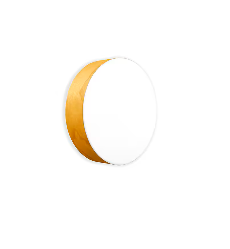 Gea Large Wall & Ceiling Light