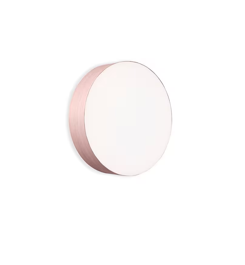 Gea Large Wall & Ceiling Light