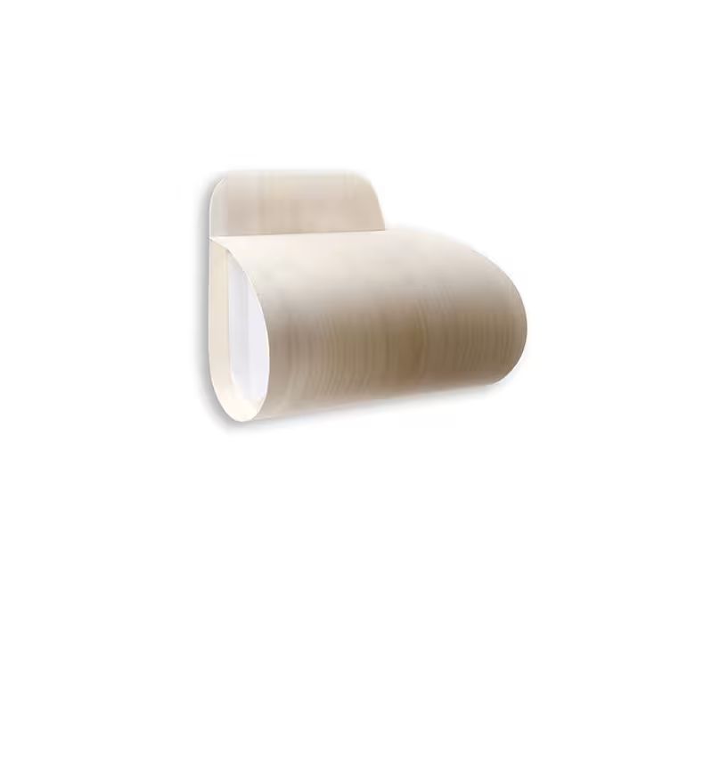 Pleg LED Wall & Ceiling Light