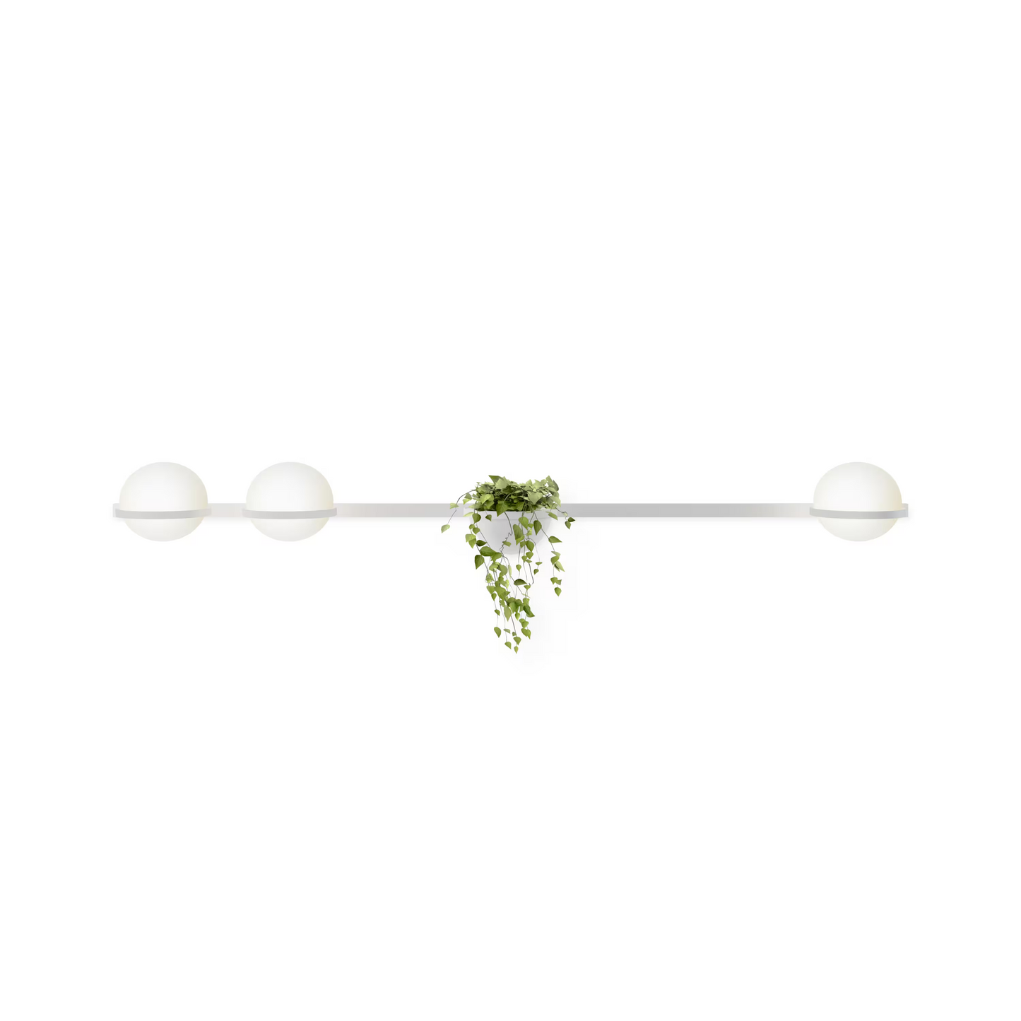 Palma 3706 Wall Light
