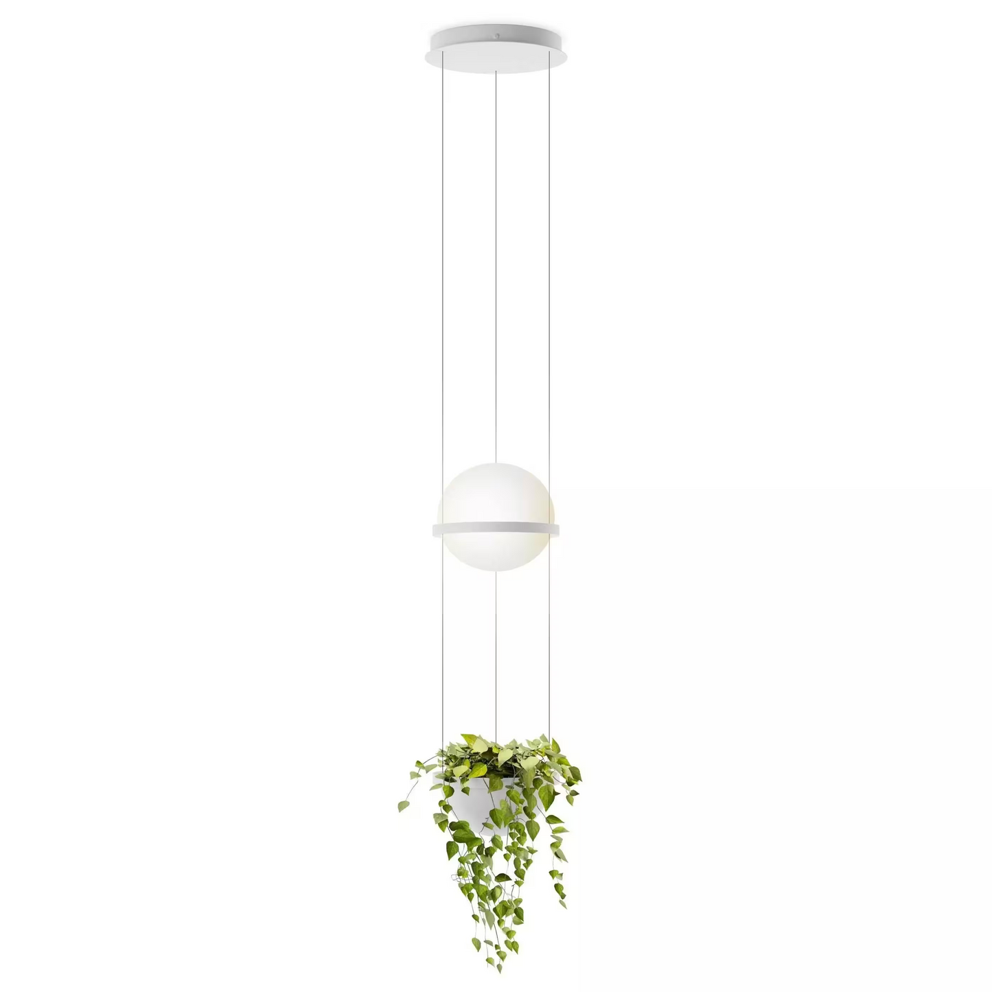 Palma 3724 Pendant