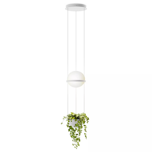 Palma 3724 Pendant