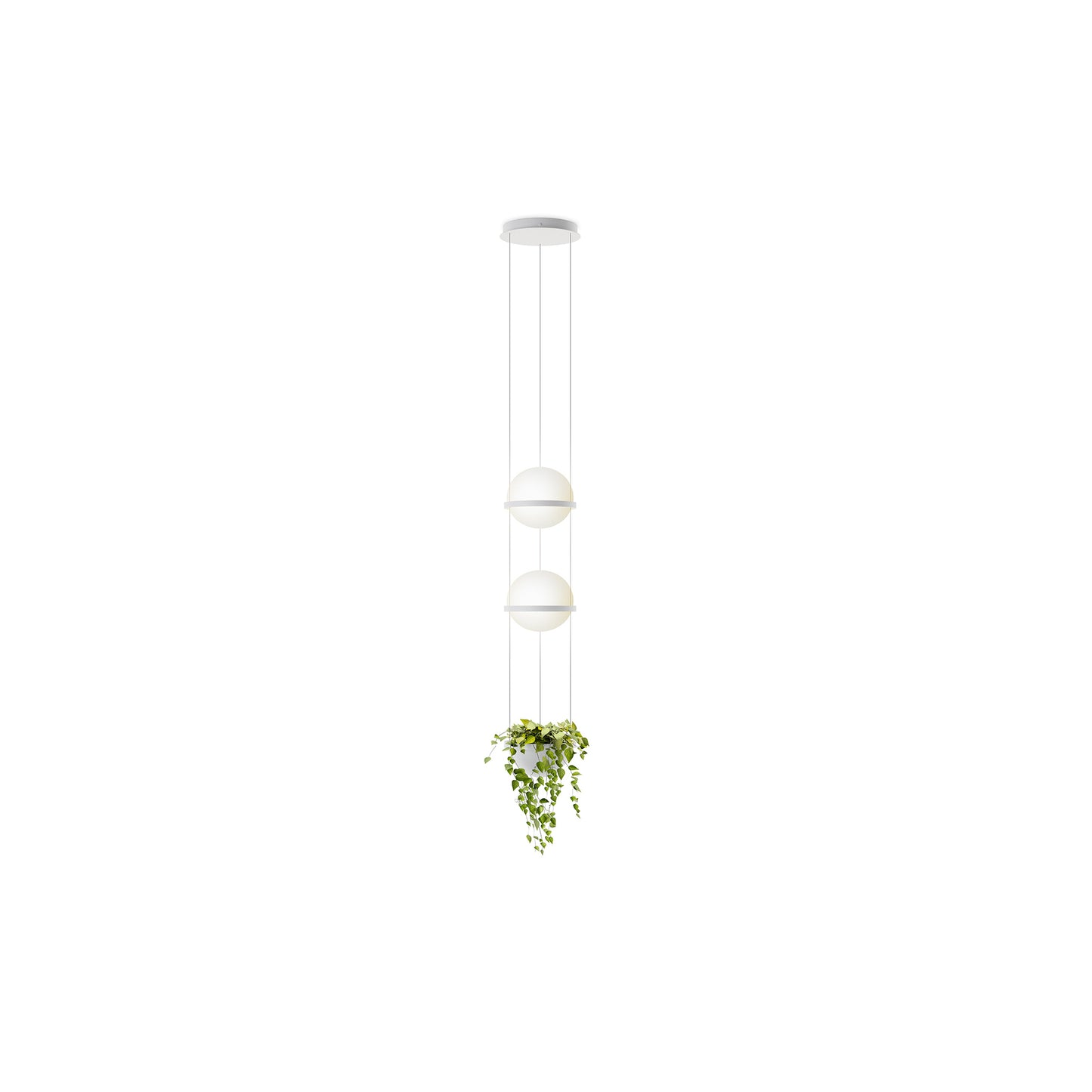 Palma 3728 4-Light LED Pendant