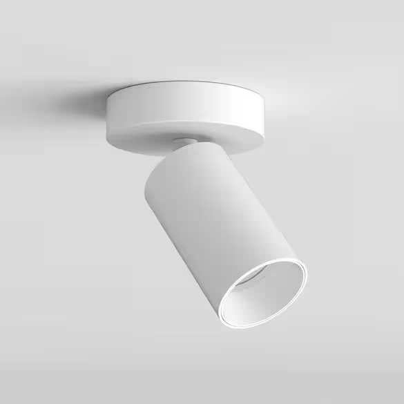 Can 50 Single Ceiling Spotlight