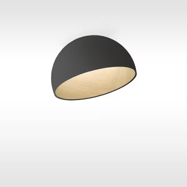 Duo 4876 4000K Ceiling Light