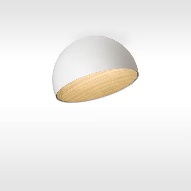 Duo 4876 4000K Ceiling Light