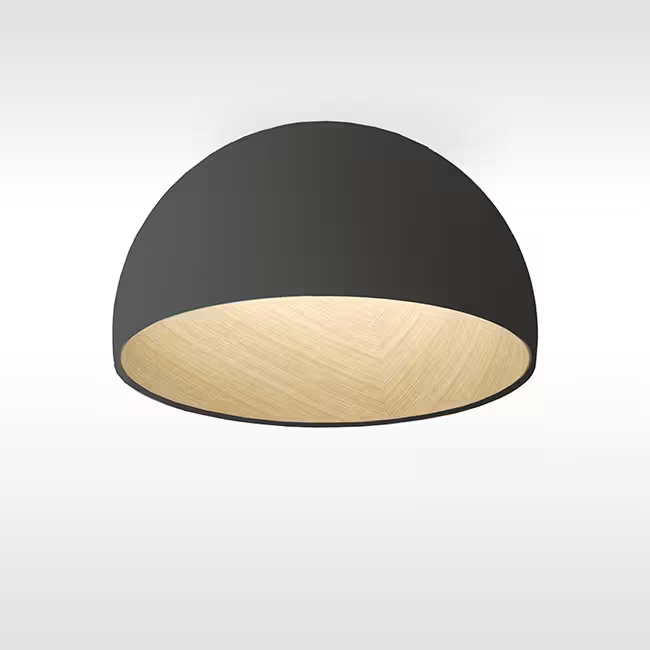 Duo 4878 4000K Ceiling Light