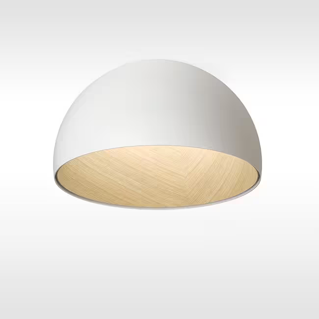 Duo 4878 4000K Ceiling Light