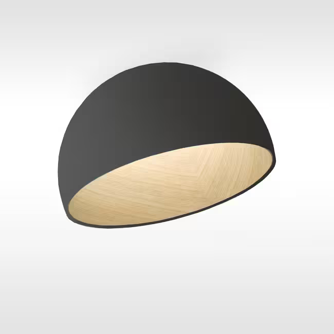 Duo 4880 4000K Ceiling Light