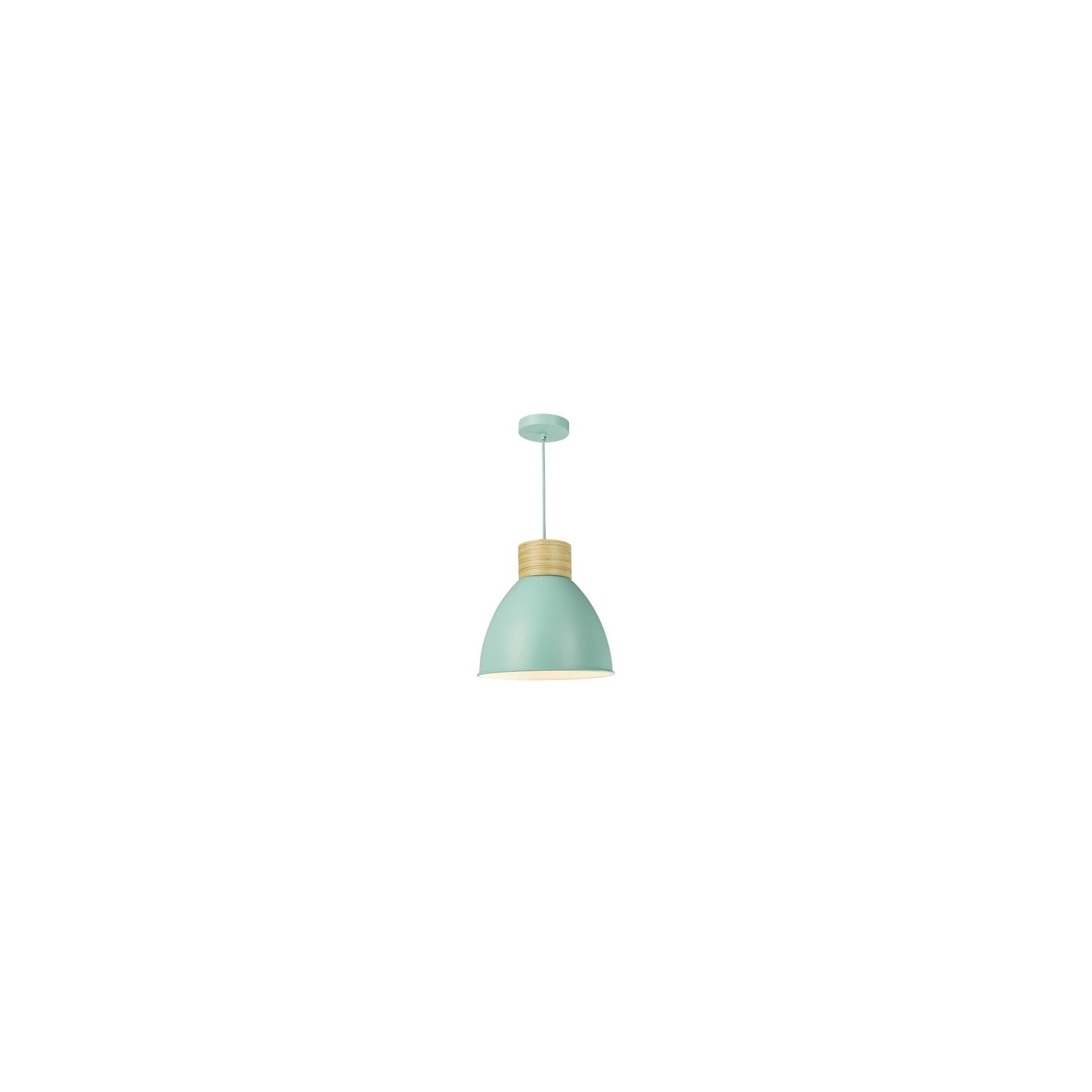 Adna 1-Light Pendant with Wood Detail