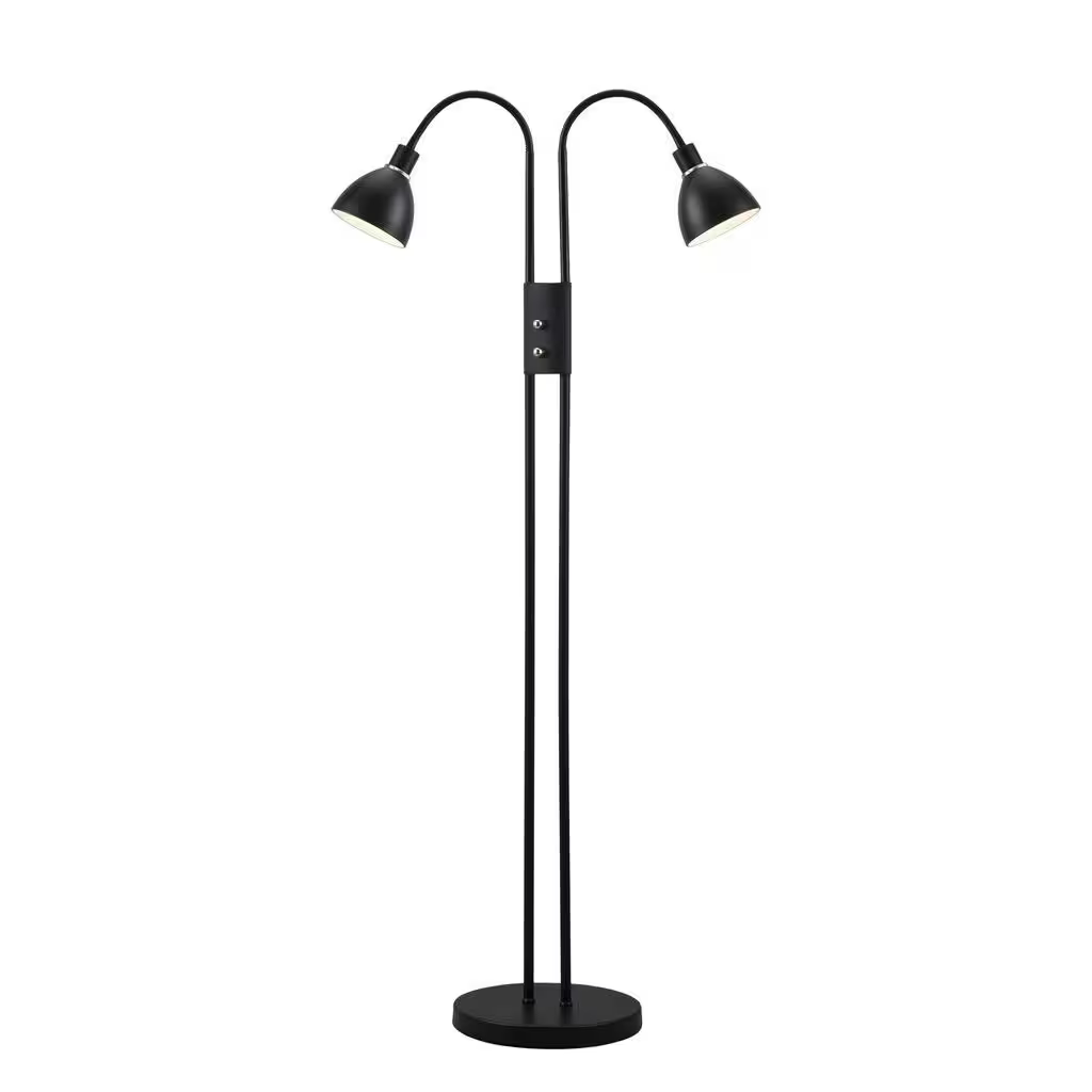 Ray Dimmer 2-Light Floor Lamp