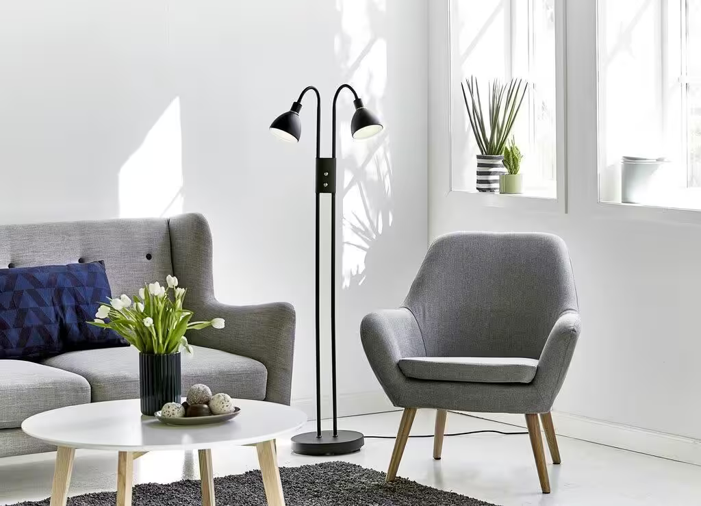 Ray Dimmer 2-Light Floor Lamp