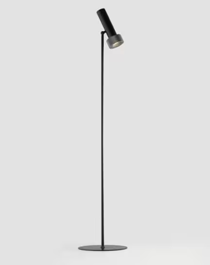 Focus LED Floor Lamp