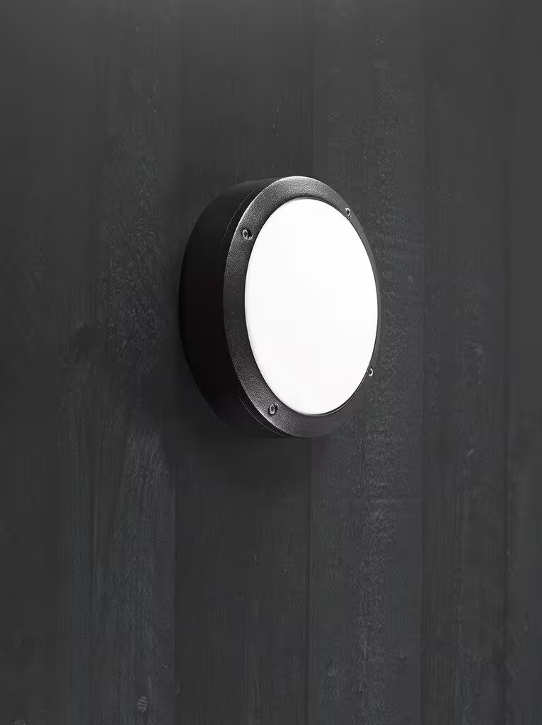 Desi 22 Outdoor Ceiling Light