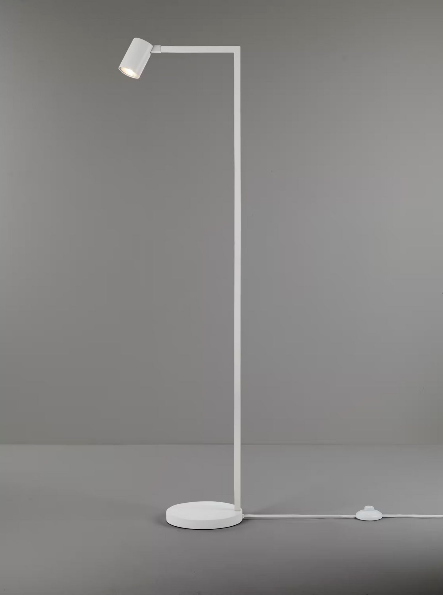Ascoli LED Floor Lamp