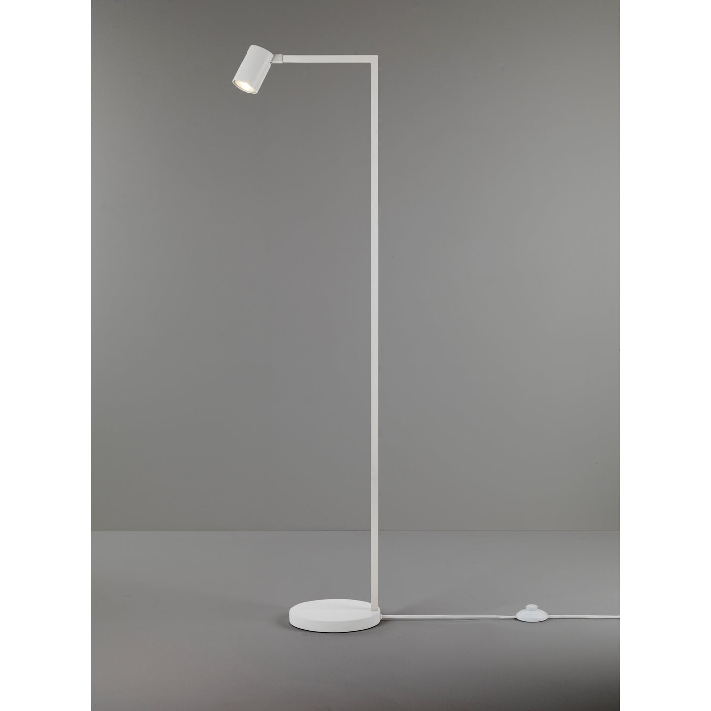 Ascoli LED Floor Lamp